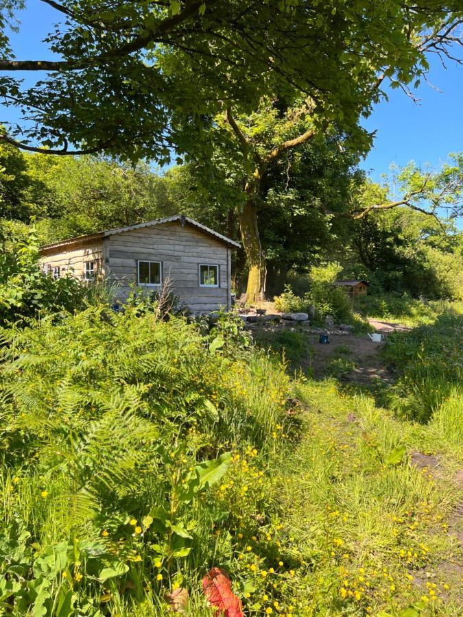 Foxglove Eco Lodge Ланели Екстериор снимка